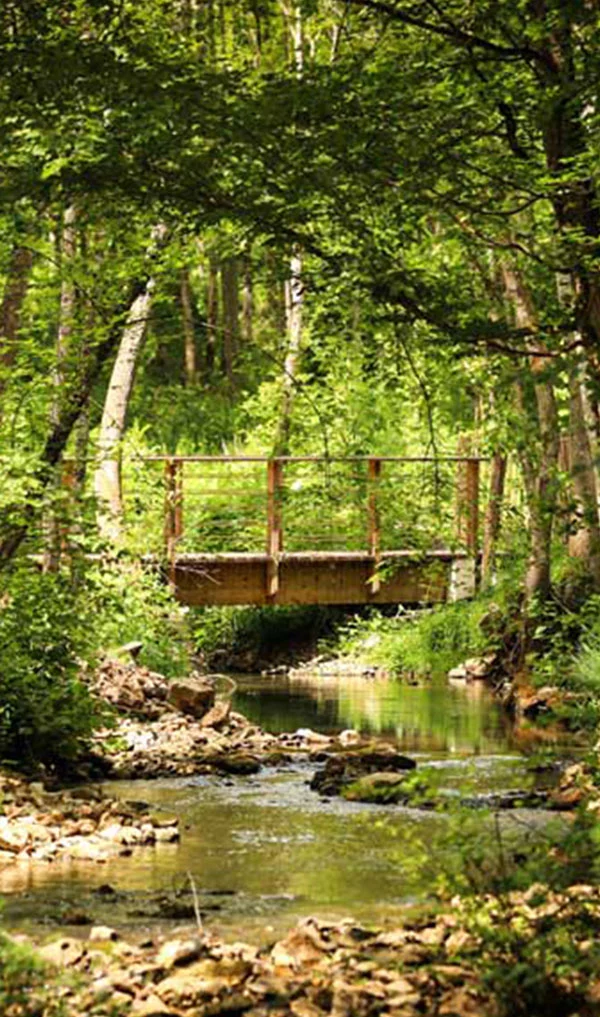 LE MOULIN BARBOTTE